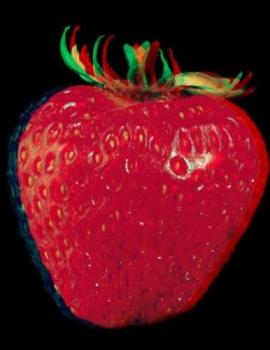 strawberry - photo of 3d-starwberry fruit