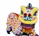 lion dance - lion dance image