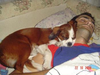 Here you can see my dog,Gupitza and my brother - I like dogs.I have one at my house.I love him very much,he is very playfull and he likes children and to play with children,because he is still an puppy.His name is Gupitza and he likes to make bath,of course not alone.He is very quiet when I am angry,but when he see that I am happy he stay with me and it is happy too.I can&#039;t see my life without my dog,Gupitza.