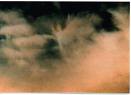 angel in ths sky - angel in ths sky image