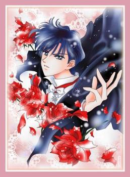 Mamoru Chiba - He is known as Tuxedo Kamen. He always comes and saves the senshi in the nick of time. In the future he is known as Neo King Endymion.