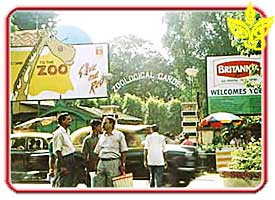 Alipore Zoo  - Alipore Zoo at kolkata 