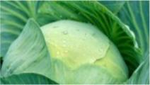 Cabbage Soup - I love cabbage plain and in soup. Cabbage is low in calories but high in nutrients.