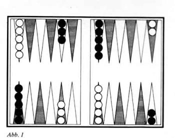 The backgammon board - Backgammon is an easy, pleasant game