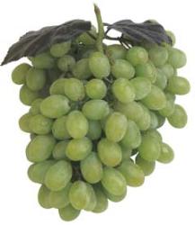 Grapes - Green a grapes