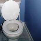 toilet - my toilet seat