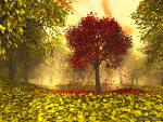 Autumn Joy - lodhi