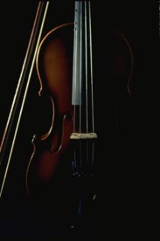 close up  - this is a close up of violin
