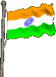 Indian flag - My countries Flag