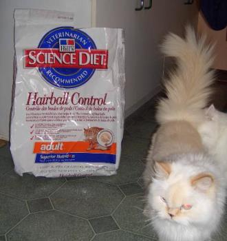 Science Diet - My cat and Science Diet