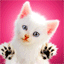 cat avatar - cat avatar - this is an animate gif for messenger