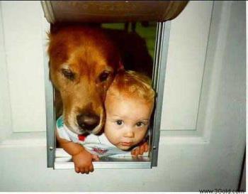 Your baby!. - A baby & his dog!!!. 