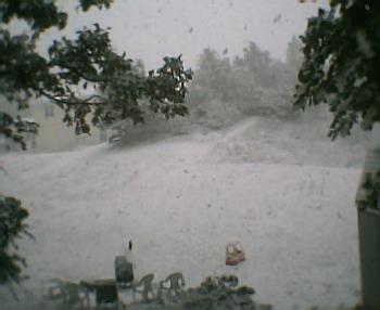 my back yard - winter wonderland. lol