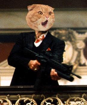 Scarface Cathead - scarface cathead
