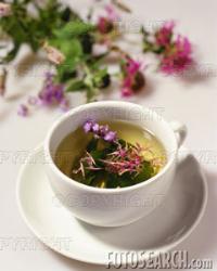 teapot - Tea 
