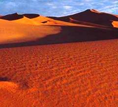 A place without water - You must be very very strong, if you can survive in the desert.