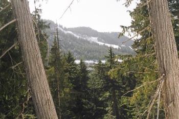 Mount Strachan From Cypress Provincial Park - Cypress Provincial Park is nestled between 2 mountains - neither of which are called Cypress LOL. They&#039;re called Mount Strachan and Hollyburn Mountain.

This is a view from The parking Lot of the park facing towards Mount Strachan.