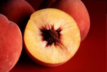 autumn peaches - ripe and juicy