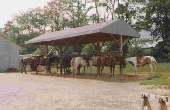 Horses - Here are the horses that me and my parents rode on while we were vacationing in Virginia a few years ago.