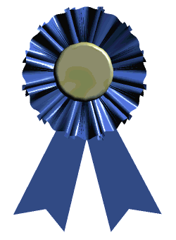 A blue ribbon - An image of a blue ribbon.