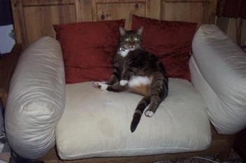 Moomin posing on the sofa - This is the lovely Moomin posing for the camera