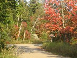 fall colors - This is the place where I spend my weekends and in the fall the colors are absolutely breathtaking.