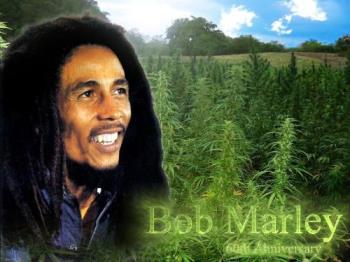 bob marley - look at his dread locks!!!is it dreadful?;)