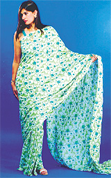 Sari - Indian Dress