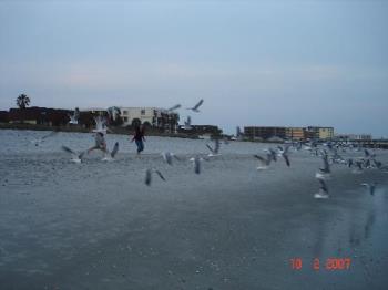 Beach - The cocoa beach at Cocoa, Florida