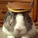 pancake - pancake