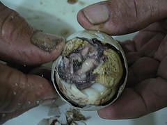 Balot - Balot is near hatcth duck&#039;s egg that boiled and eaten directly.