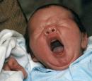 Yawning - Baby yawning cute