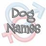dog name - dogs names ...