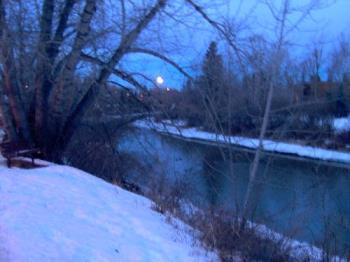 Blue dawn........ - I was on an early morning run when I took this picture of the moon. It was not light enough yet for this picture and it turned out a very interesting blue shade.