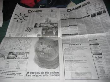 Jay in the paper - kittys do it on the paper