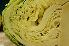 Cabbage - cabbage