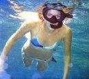 snorekeling - snorekeling is a great way to experience marine life