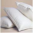 feather pillow - a big king size feather pillow!!