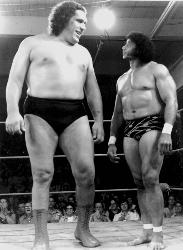 Andre the Giant - Andre the Giant