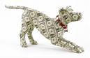 Money  - Mony dog