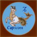 capricorn - Capris are the best