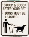Scoop it! - sign Scoop it! - sign