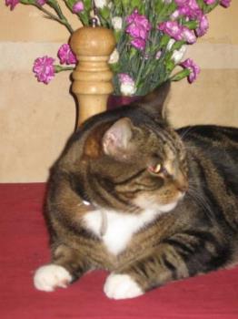Moomin - This is my best side - lol
