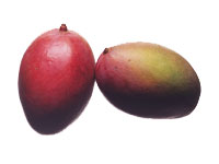 Mango - Favorite fruit.