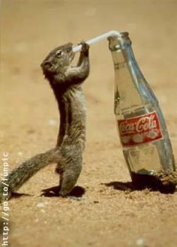coca cola - i don&#039;t drink it...