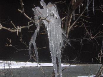 tree ice - The first signs of Spring as the sun melts this icicle.