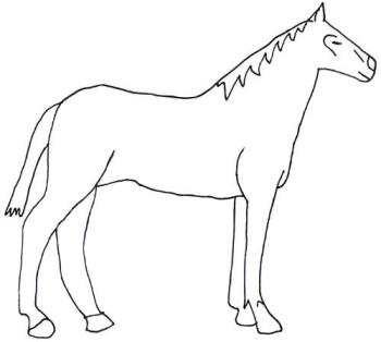 drawing of a horse - this is a sketch showing a horse