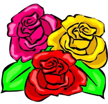 Roses - roses for you on mother&#039;s day.