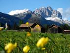 spring and mountains - how nice have a walk here!!!