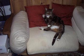 Moomin relaxing - Moomin demands the sofa to herself